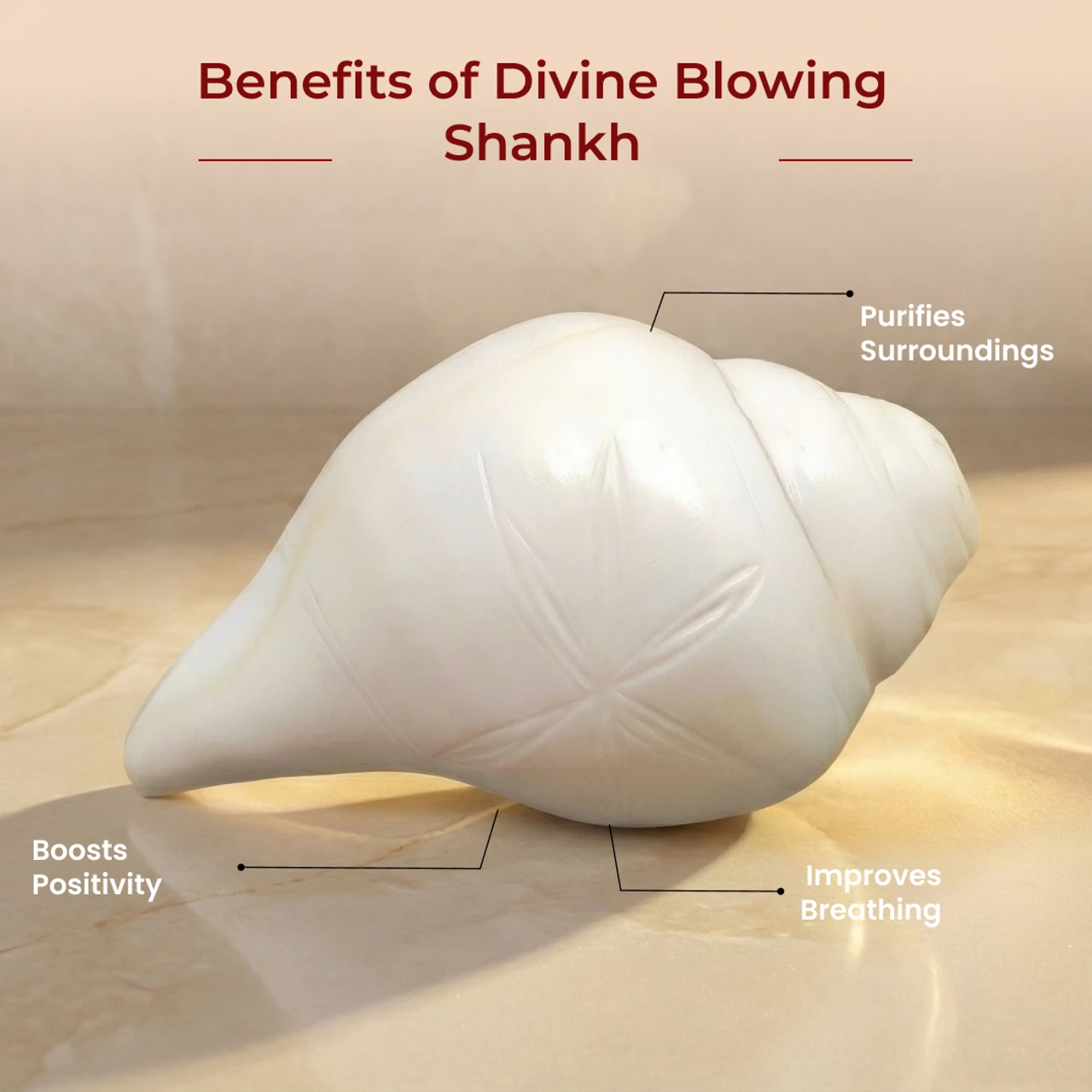 Small Natural Shankh (Conch Shell) for Puja – Sacred Hindu Blowing Shankh